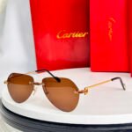 Cartier CT0629S sunglasses