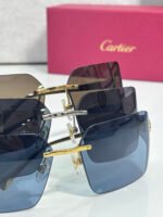 Cartier CT0267S sunglasses - 图片 3
