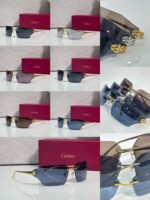 Cartier CT0267S sunglasses - 图片 5