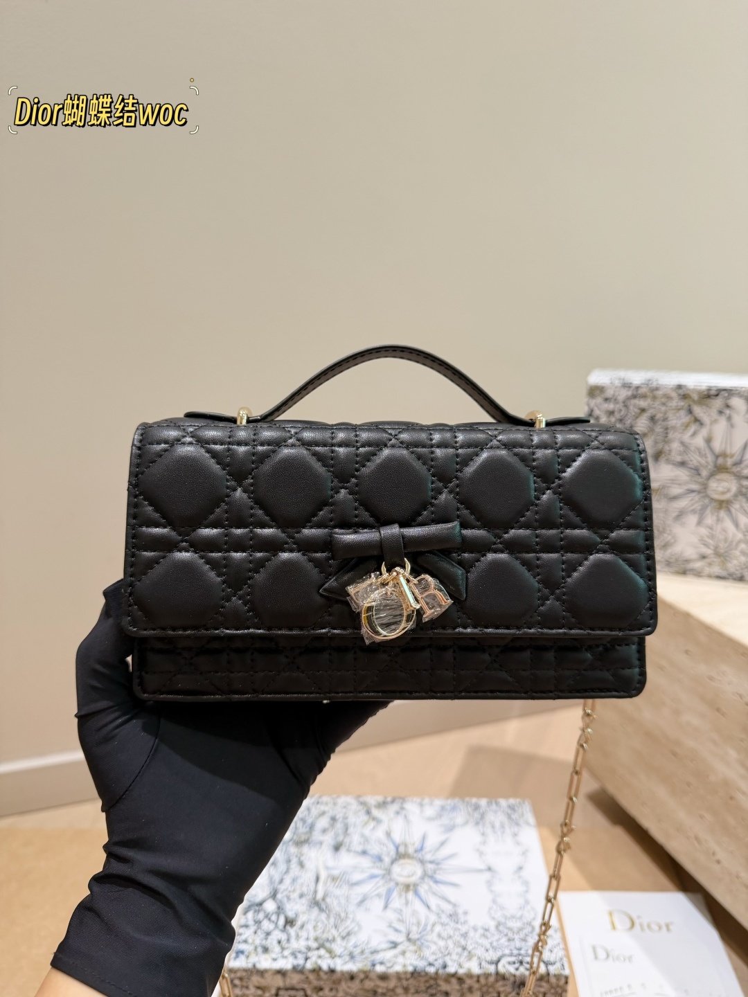 DIOR PS3556